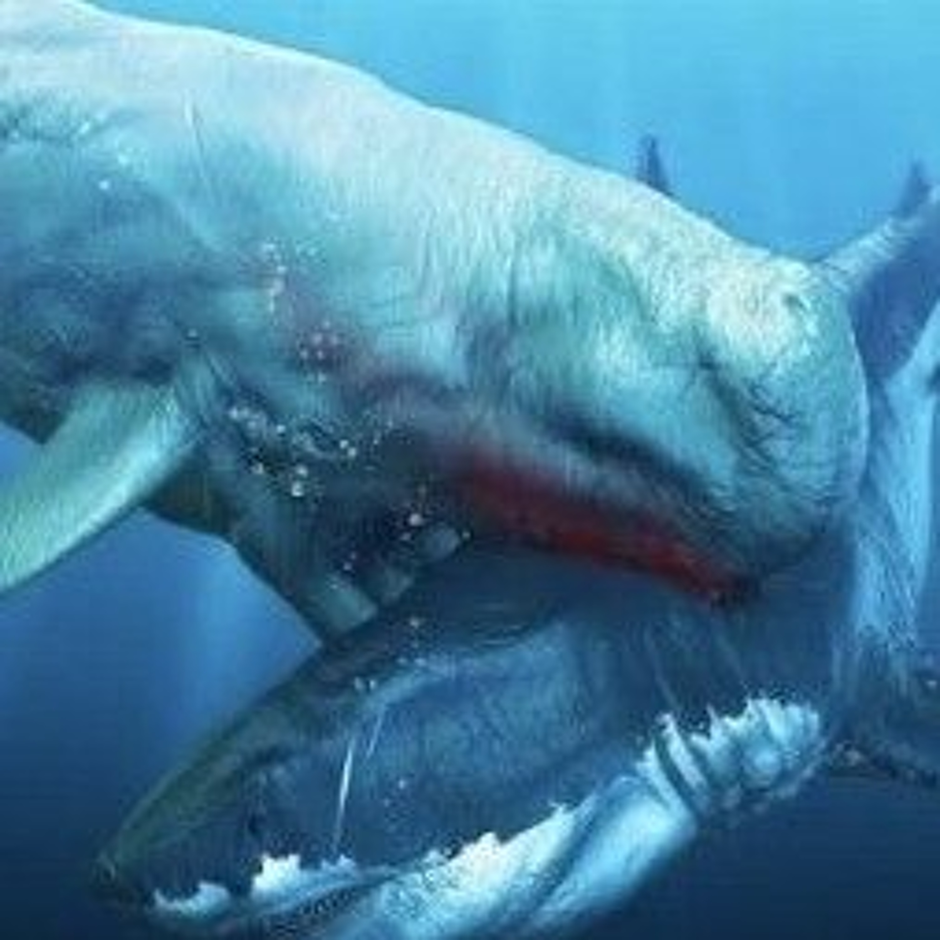 Macroraptorial.(The Meg Vs Livyatan Mix) wav episode artwork