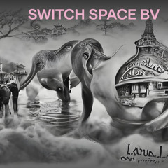 switch space bv