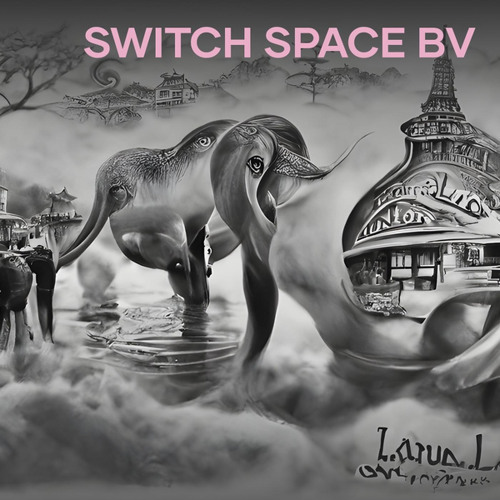 switch space bv