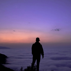 Be Still The Earth & Dear Gravity - Dissension + Concord