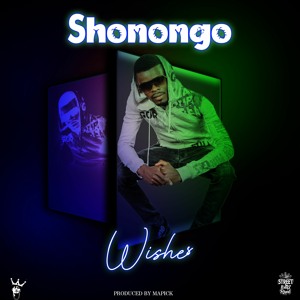 Wishes- Shonongo