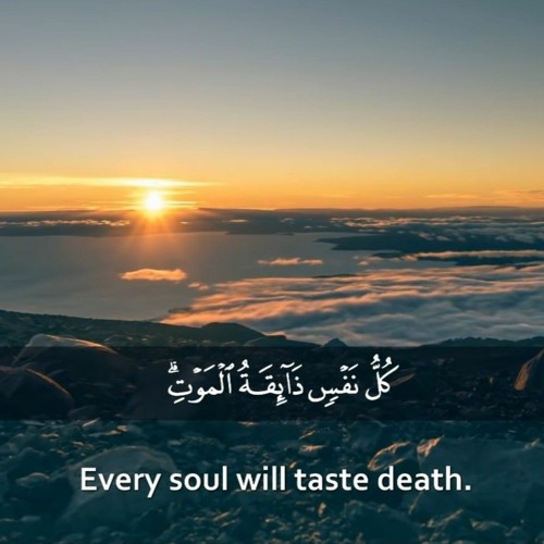 كل نفس ذائقة الموت //عبدالله أحمد