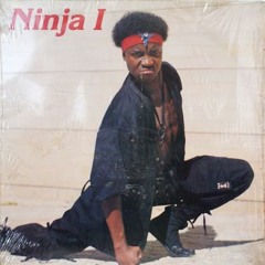 Ninja - Kea O Rata