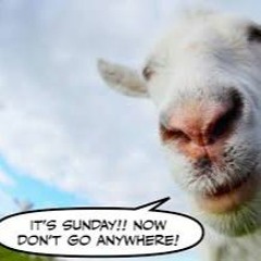 Sunday Goat Sessions