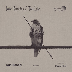 Premiere: Tom Banner - Love Remains (Mauro Masi Remix) [Musique De Lune]