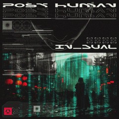IN_DUAL - POST HUMAN