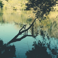 Log_20230120（demo）