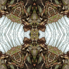 Trinfinity - Ritualistic Rebirth