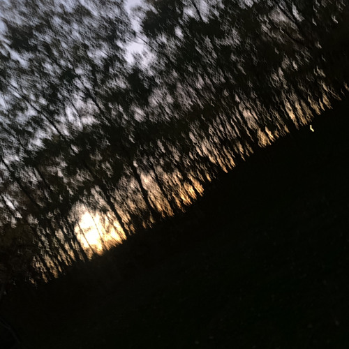 DOPAMINE