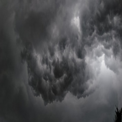 PREMIERE: Enivrèz Vous - Nature 54