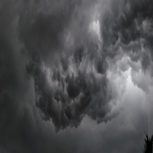 PREMIERE: Enivrèz Vous - Nature 54