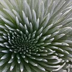 Progressive Relaxation with Body Scan