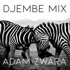 DJEMBE Mix | Adam Zwara