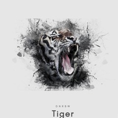 DNRBW - Tiger (Original Mix)