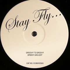 STAY FLY - THREE 6 MAFIA (GROOVY T'S GROOVY SPEEDY UKG EDIT)