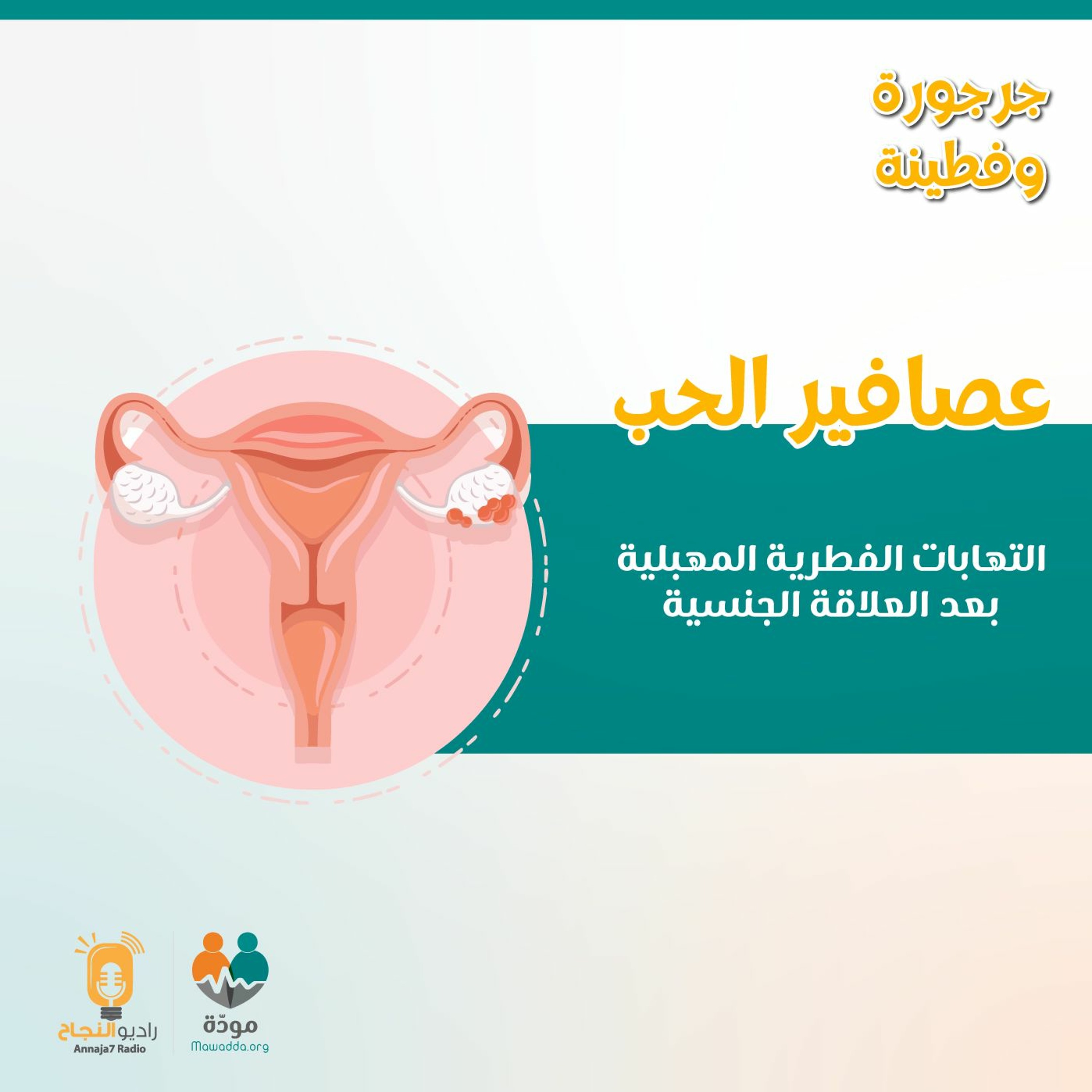عصافير الحب: الالتهابات الفطريَّة بعد ممارسة العلاقة الجنسيَّة الزوجيَّة episode artwork