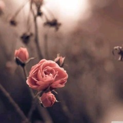 Ruff Rider x Lerato la ngoanona