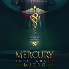 Si Begg - Micro (Dressed) - Soundiron Mercury Micro