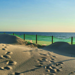 Summer 2025 House Odyssey (WAV)