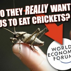 Do Elites Really Want Us to Eat Crickets and Other Bugs?