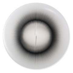 Gisella Engel - Inductive Sound [Mellon Place Records]