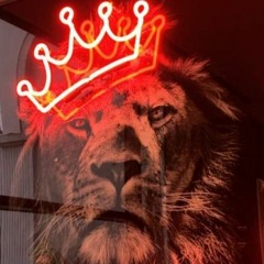 ALELEON DJ🦁⚡️TECH HOUSE PLAYERO ⚡️🏝🦁🎶