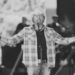 Toby Keith - Red Solo Cup (Lavish Life Remix)