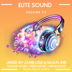 elite sound volume 73 ( mixed by jamie lisle & shaun jnr )