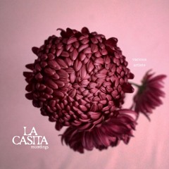 Stream Plush Managements Inc. 