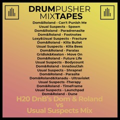 MixTape  (H20 DnB's Dom & Roland Vs Usual Suspects Mix)