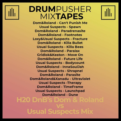 MixTape  (H20 DnB's Dom & Roland Vs Usual Suspects Mix)