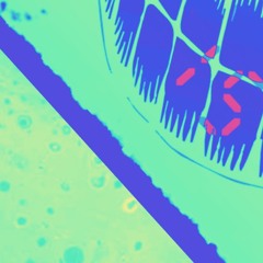 What Do Want? -grunge