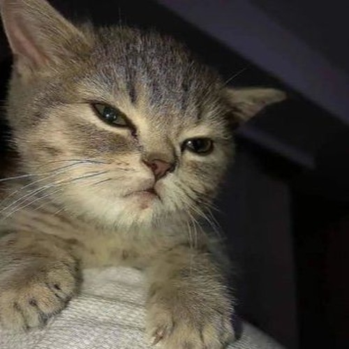 The Night Does Not Belong To God but an AI looped the first piano bit and made it lofi