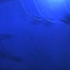 Calm in the Blue Fluctuation