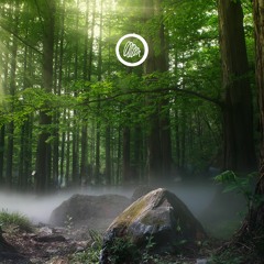 Music For Trees: Suo Gân (Clip)