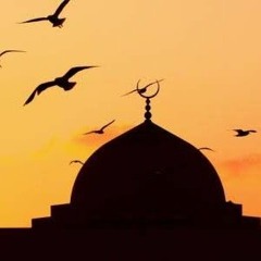 ✨في رحاب المدينة المنورة✨🤍