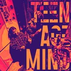 teenageMind (p. @method.ini & @twinetwi)