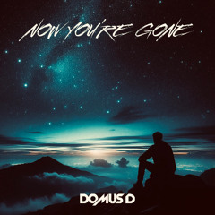 Now you're gone - Domus D