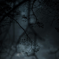 Glass Veins.
