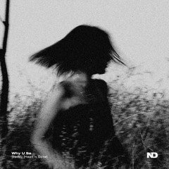 Why U So - Slo-Mo (Heart Is Gone)