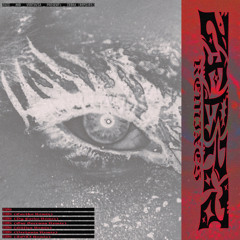 ZEBRA (ZOZI Remix)