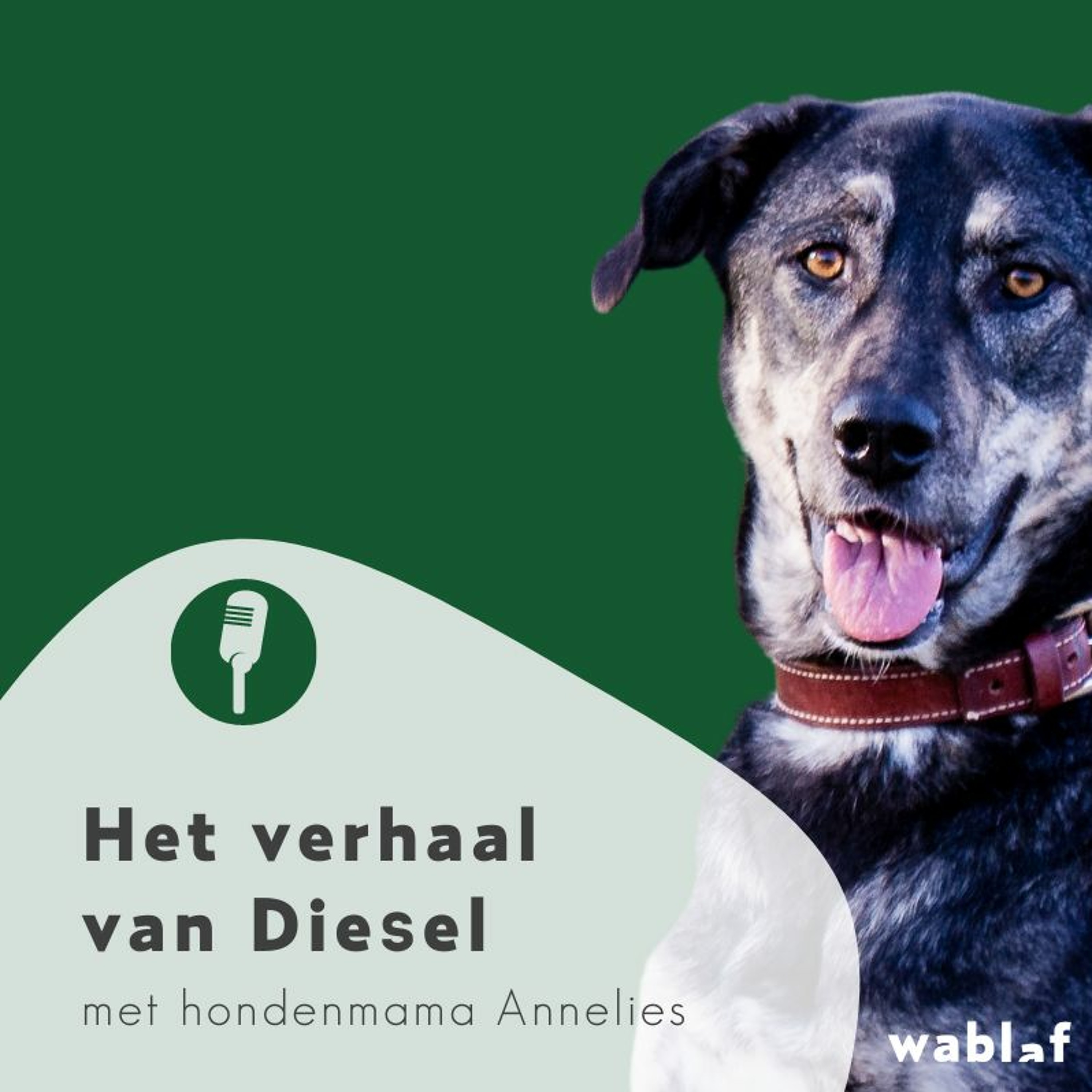 Bewuste Hondenmoeders