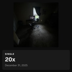 20x