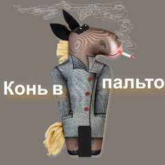 Конь в пальто!