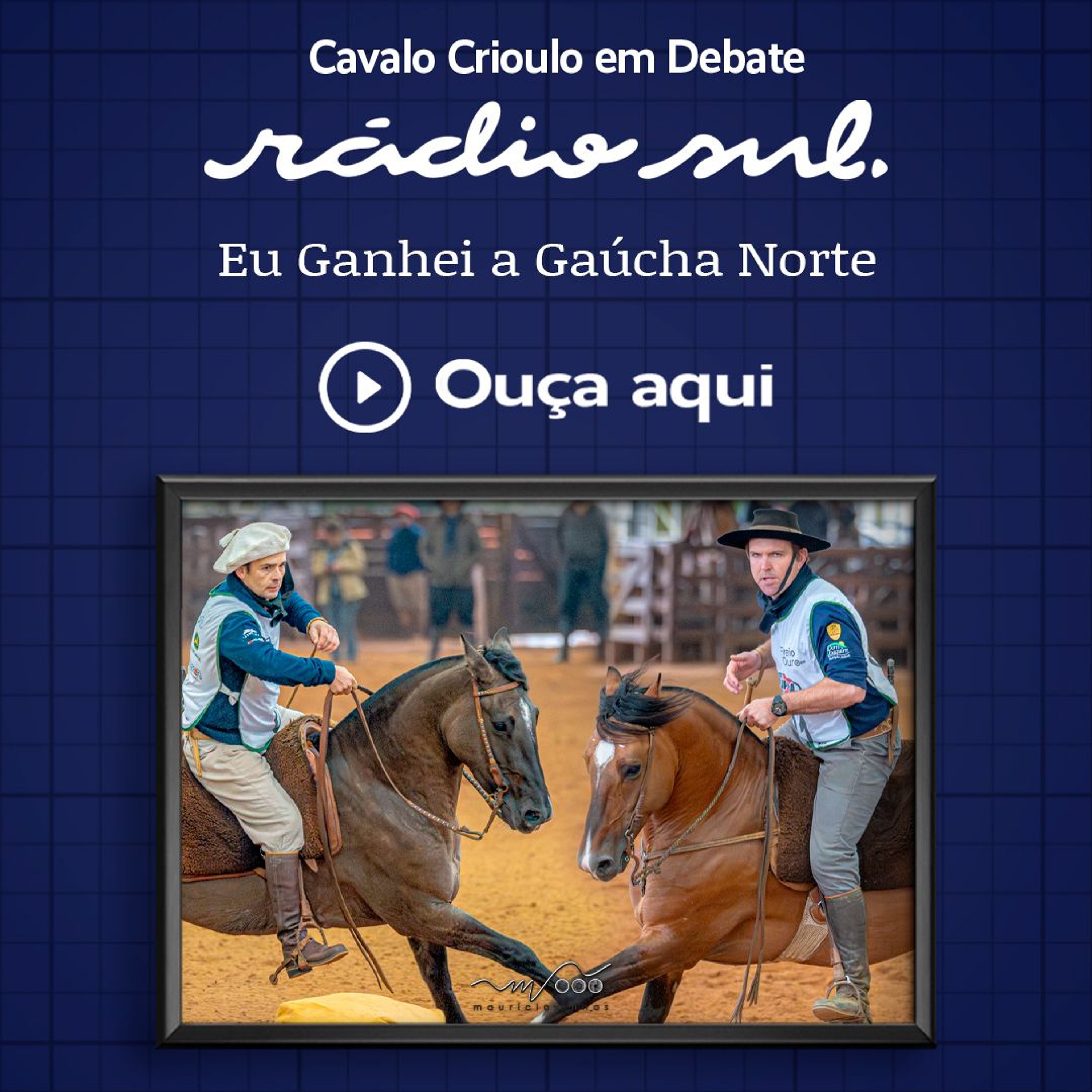 Radiosul.net