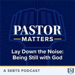 Lay Down the Noise: Being Still with God - EP197