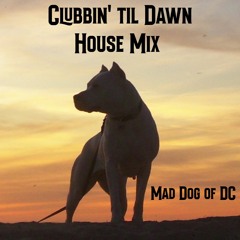 Clubbin' Til Dawn - House Music Mix!
