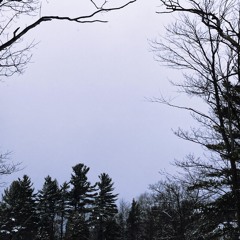 forever 2 (tgwog) ‧₊˚ ִֶָ⁠☾.