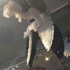 жаль (greyrock, k4neswagga)