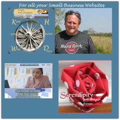 Web Designs Biz's